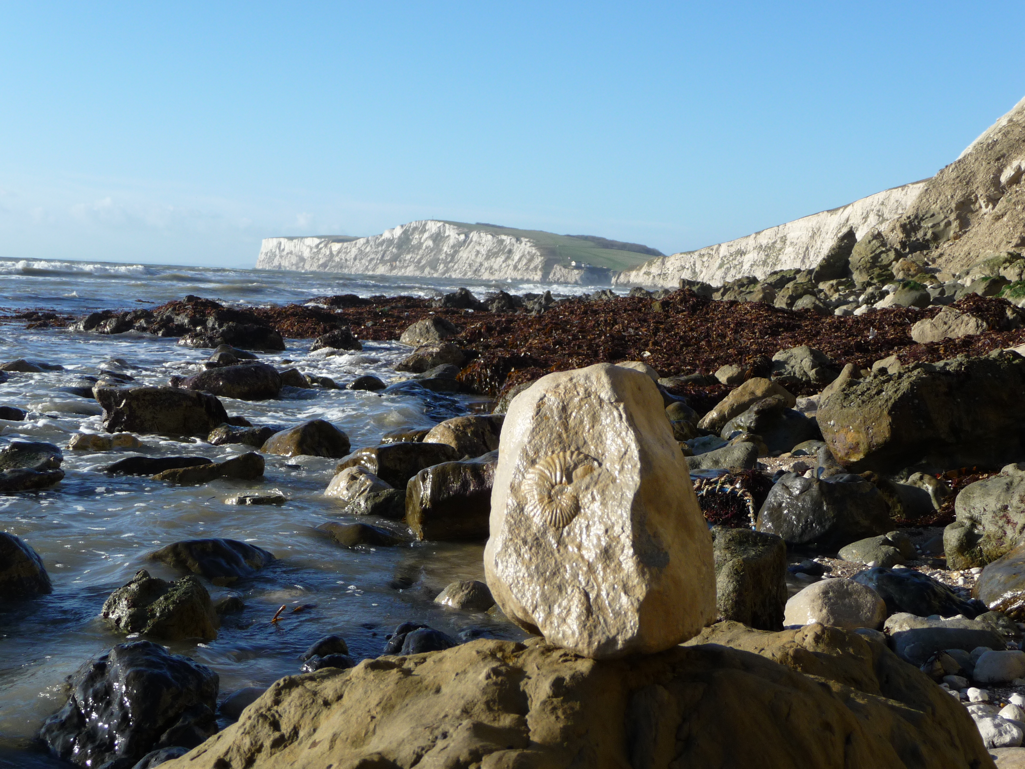 Foto: Strand der Isle of Wight Ammonit (Foto: Ralf Metzdorf)