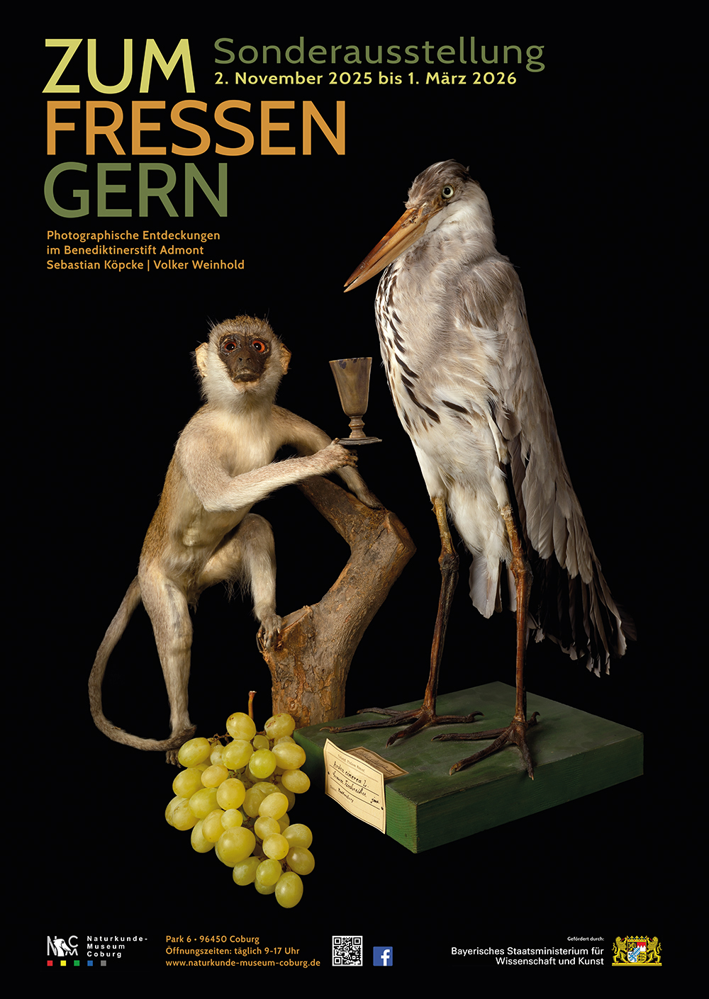 Zum Fressen gern (Foto: Köpcke)